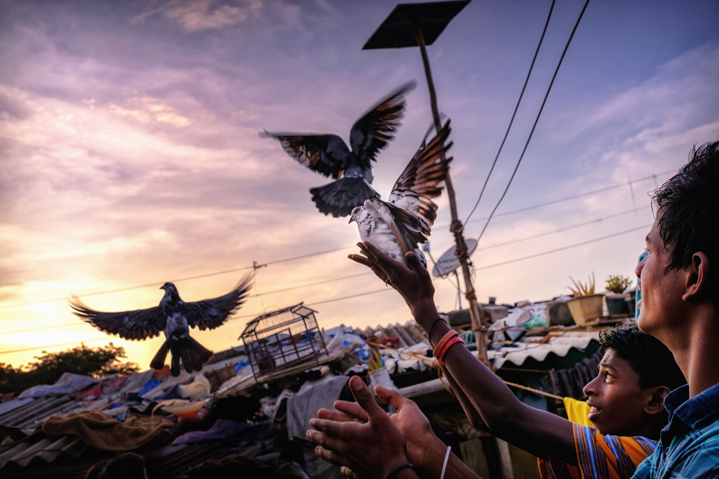 Menschen lassen in Bangalore  Tauben fliegen (Quelle: Jakob Studnar)
