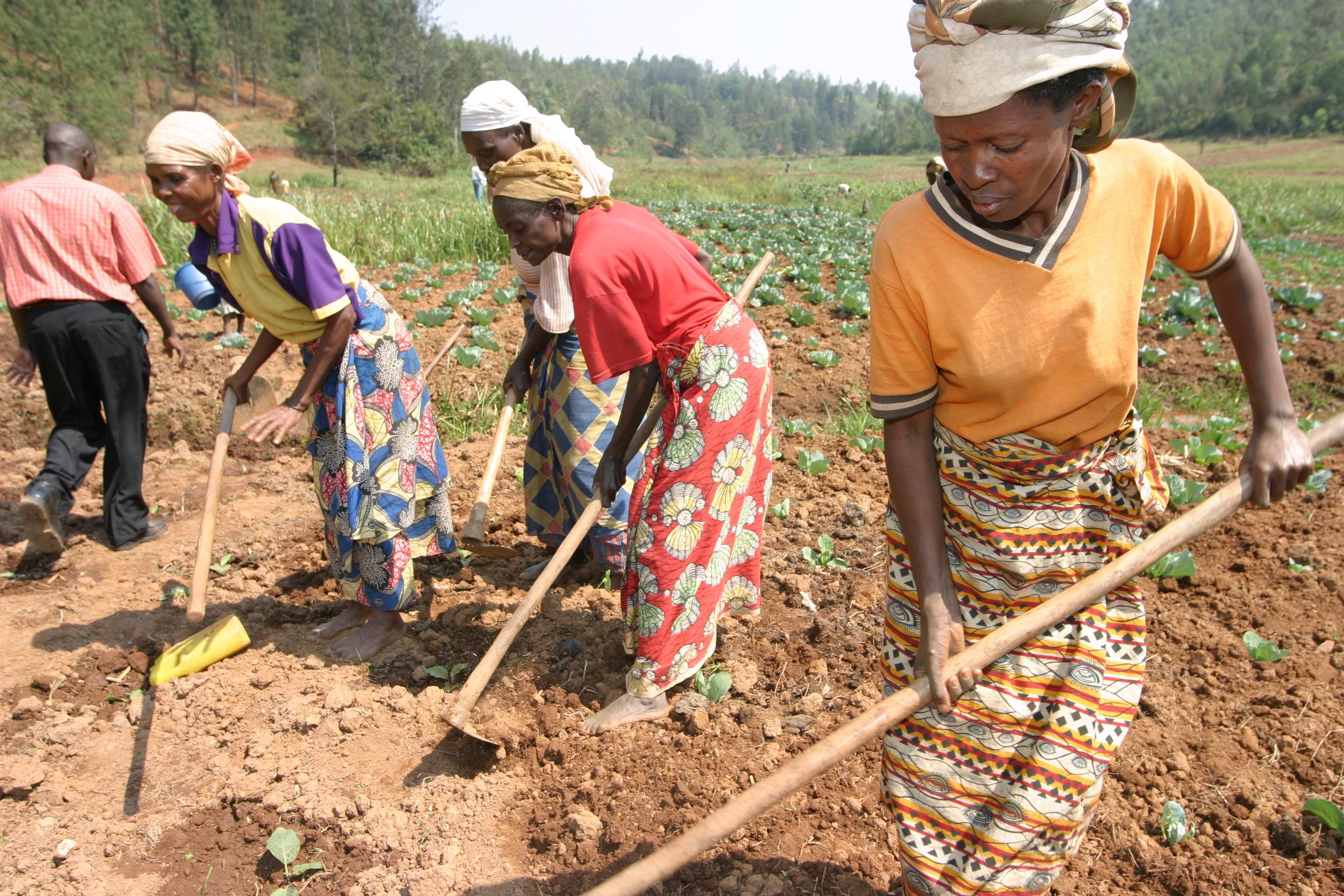 Aktivitäten einer Selbsthilfegruppe in Ruanda (Quelle: Ralf Krämer)