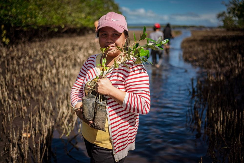 Eine Projektteilnehmerin hält eine junge Mangrovenpflanze ins Bild, die sie gleich einpflanzen möchte (Quelle: Jakob Studnar) Eine Projektteilnehmerin hält eine junge Mangrovenpflanze ins Bild, die sie gleich einpflanzen möchte (Quelle: Jakob Studnar)