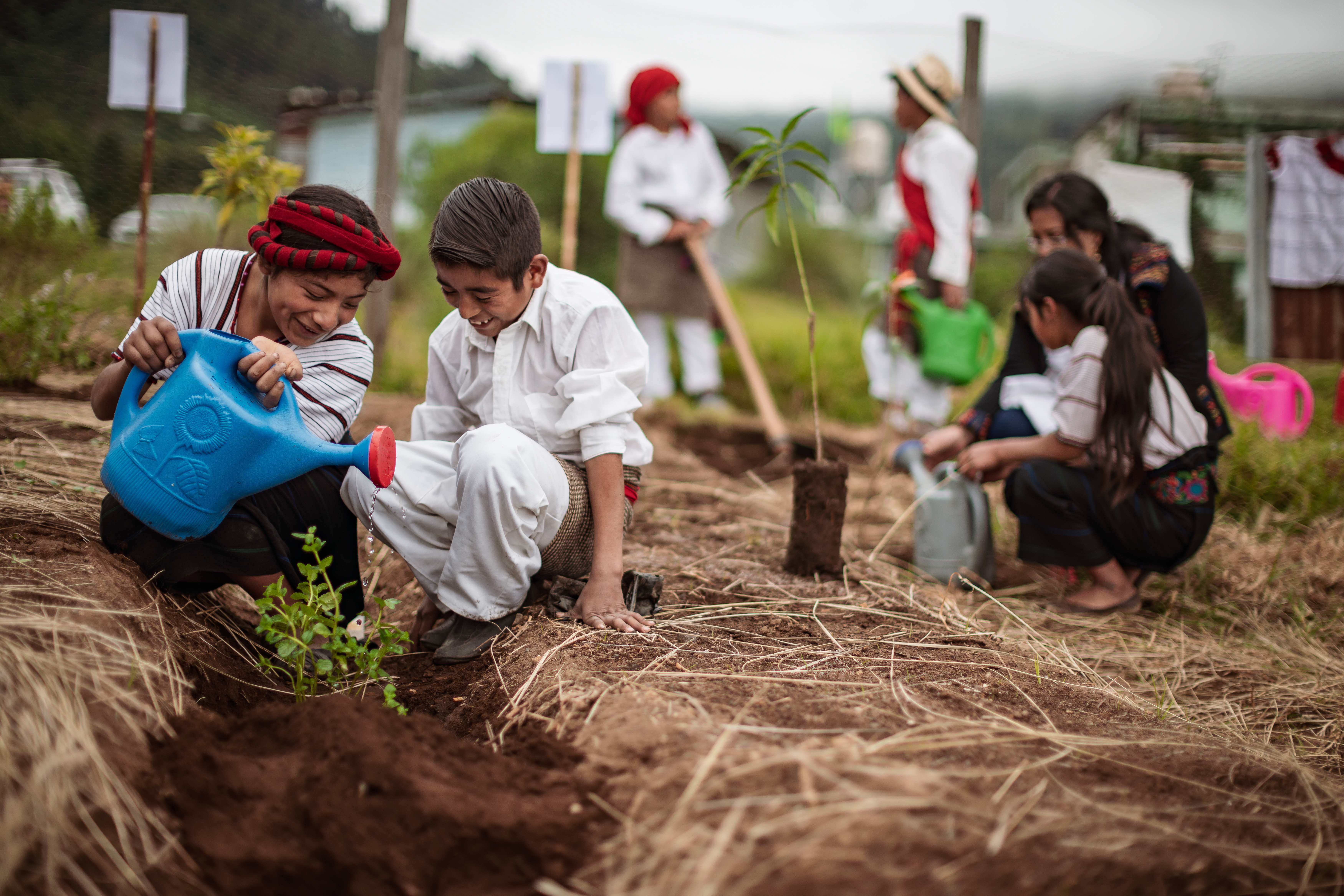 Kinder im Schulgarten  (Quelle: Jakob Studnar)