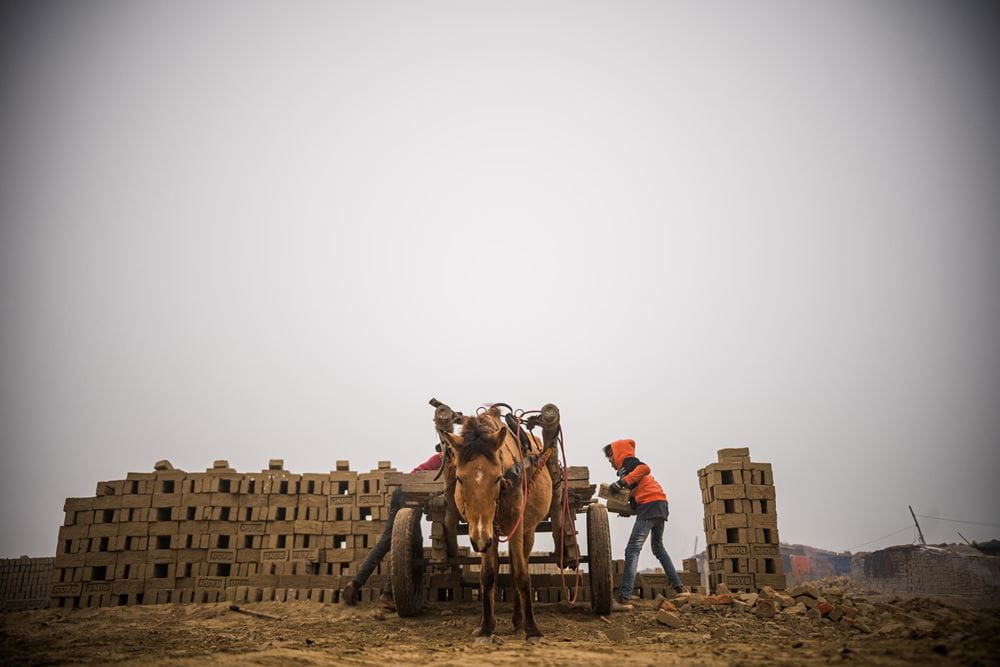 Mit einem Pferdekarren werden die schweren Steine in den Ofen transportiert (Foto: Martin Bondzio) Mit einem Pferdekarren werden die schweren Steine in den Ofen transportiert (Foto: Martin Bondzio)
