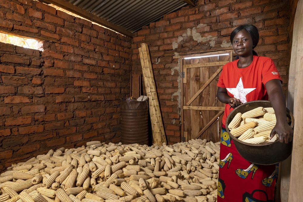 Eine Frau aus Sambia steht in ihrem Lagerraum für Maiskolben. (Quelle: Christian O. Bruch)